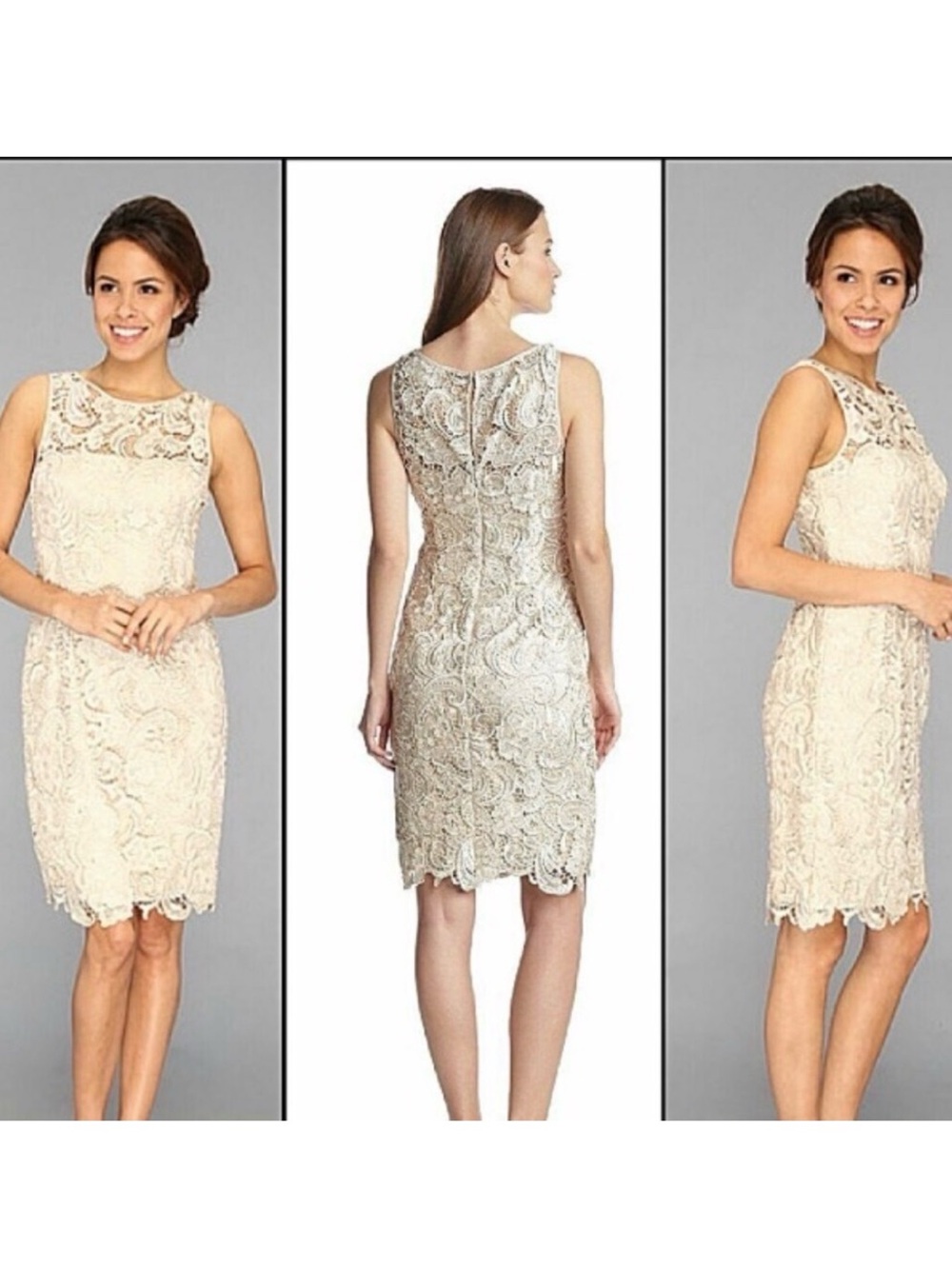Adrianna Papell Lace Sheath Dress in Champagne